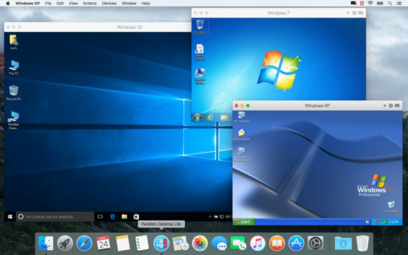 parallels shared folders windows 10